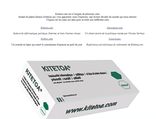 Tablet Screenshot of kitetoa.com